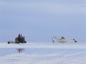 Point Turton SA Accommodation Nelson Bay