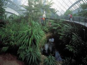 Bicentennial Conservatory - Accommodation Nelson Bay 0
