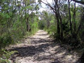 Wendy's Walk - Accommodation Nelson Bay 0