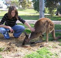 Pendleton Farmstay - Accommodation Nelson Bay