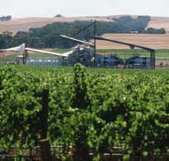 Kirrihill Wines - Accommodation Nelson Bay