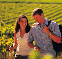 Lady Bay Vineyard - Accommodation Nelson Bay
