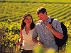 Lady Bay Vineyard - Accommodation Nelson Bay 0