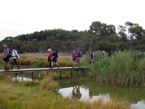 Lavender Federation Trail - Accommodation Nelson Bay 1