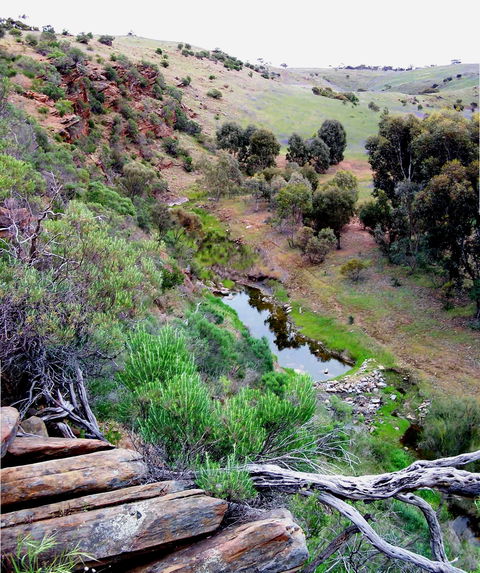 Lavender Federation Trail - Accommodation Nelson Bay 3