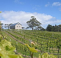 Bruny Island Premium Wines Bar and Grill - Accommodation Nelson Bay