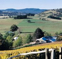 Freycinet Vineyards Pty Ltd - Accommodation Nelson Bay