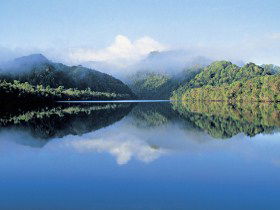 The Gordon River - Accommodation Nelson Bay 0