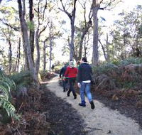 Bridport Walking Track - Accommodation Nelson Bay