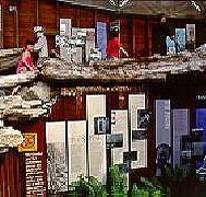West Coast Visitor Information and Booking Centre - Accommodation Nelson Bay