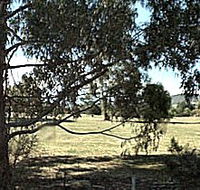 Cygnet Public Golf Course - Accommodation Nelson Bay