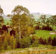 The Tasmanian Arboretum - Accommodation Nelson Bay