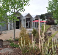 Tin Dragon Interpretation Centre and Cafe - Accommodation Nelson Bay