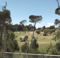 Greens Beach Golf Course - Accommodation Nelson Bay