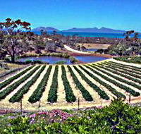 Kate's Berry Farm - Accommodation Nelson Bay