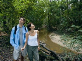Mooloolah River National Park, Jowarra Section - Accommodation Nelson Bay 0
