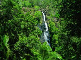 Montville QLD Accommodation Nelson Bay