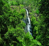 Kondalilla National Park - Accommodation Nelson Bay