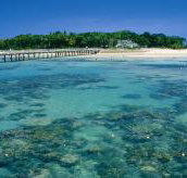 Green Island Fringing Reefs - Accommodation Nelson Bay