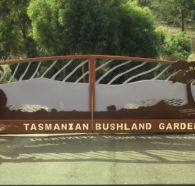 Tasmanian Bushland Garden - Accommodation Nelson Bay