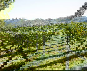 Surveyor's Hill Vineyards - Accommodation Nelson Bay 0