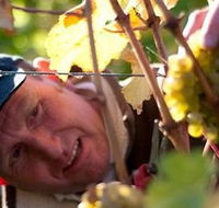 Puddleduck Vineyard - Accommodation Nelson Bay