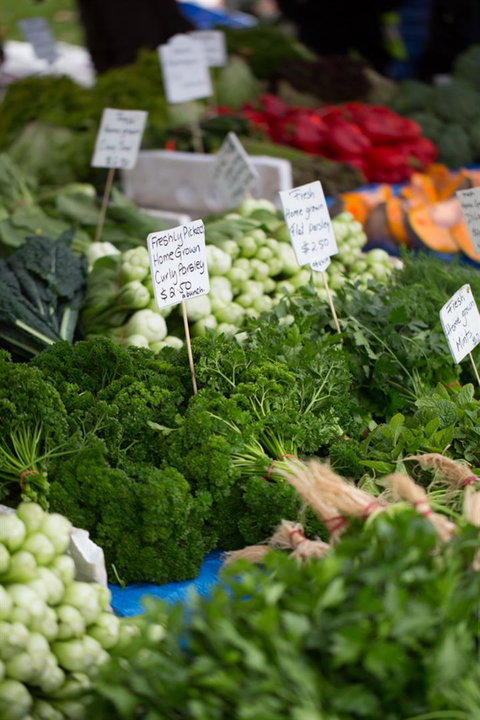 Salamanca Market - Accommodation Nelson Bay 5