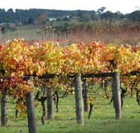 Apsley Gorge Vineyard - Accommodation Nelson Bay