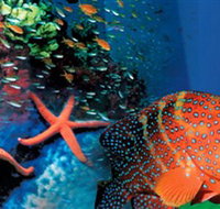 Indo Pacific Marine - Accommodation Nelson Bay