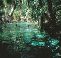 Mataranka Thermal Pool - Accommodation Nelson Bay