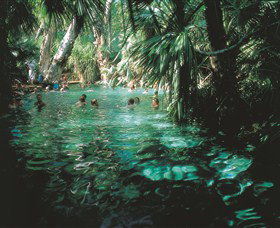 Mataranka Thermal Pool - Accommodation Nelson Bay 0