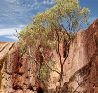 Ochre Pits - Accommodation Nelson Bay