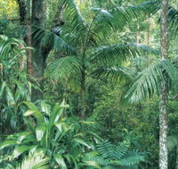 Westside Track Maiala - Accommodation Nelson Bay