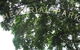 Bulimba Memorial Park - thumb 0