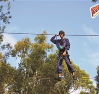 Adventure Parc at Currumbin Wildlife Sanctuary - Accommodation Nelson Bay