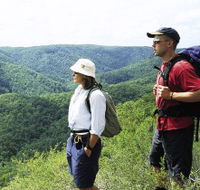 Sunshine Coast Hinterland Great Walk - Accommodation Nelson Bay