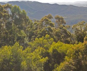  Accommodation Nelson Bay