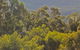 Conondale National Park - thumb 0