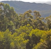 Conondale National Park - Accommodation Nelson Bay
