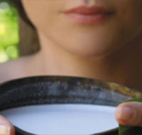 Ikatan Day Spa - Accommodation Nelson Bay