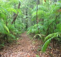 Delicia Road Conservation Park - Accommodation Nelson Bay