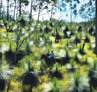Bicentennial National Trail - Section 5 - Accommodation Nelson Bay
