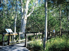 Kinaba Track - Accommodation Nelson Bay 0