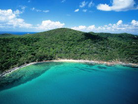 Noosa Heads Coastal Track - Accommodation Nelson Bay 0