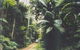 Conondale Great Walk - thumb 0