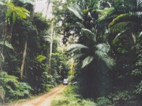 Conondale Great Walk - Accommodation Nelson Bay 0