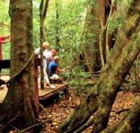 Mary Cairncross Scenic Reserve - Accommodation Nelson Bay