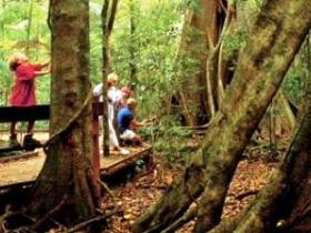 Mary Cairncross Scenic Reserve - Accommodation Nelson Bay 0
