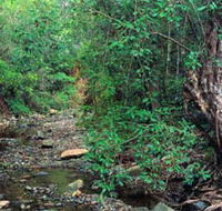 Mudlo National Park - Accommodation Nelson Bay