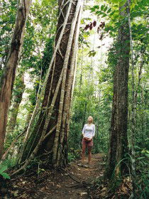 Wet Tropics - Accommodation Nelson Bay 0